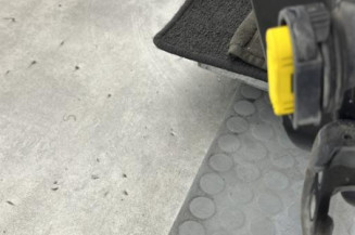 Porte avant gauche RENAULT LAGUNA 3