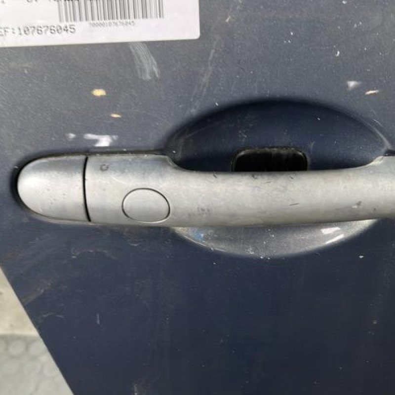 Porte avant droit RENAULT GRAND SCENIC 2 Photo n°2