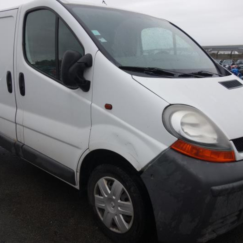 Porte avant droit RENAULT TRAFIC 2 Photo n°4