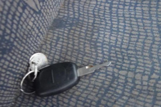 Porte avant droit RENAULT TRAFIC 2