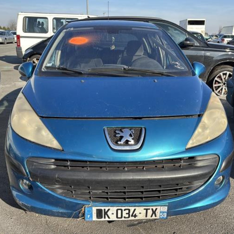 Bouton de coffre PEUGEOT 207 Photo n°12
