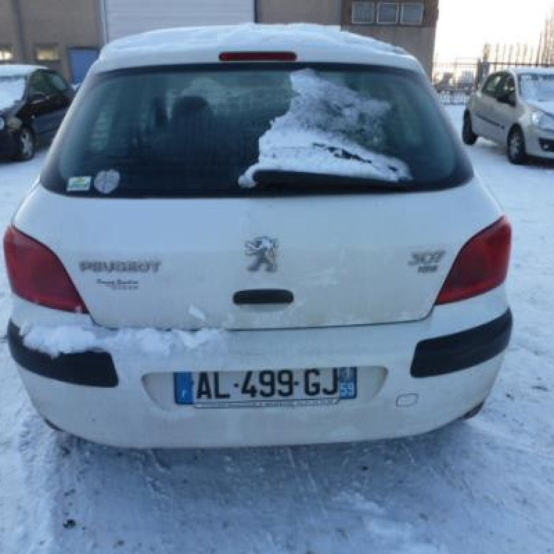 Custode arriere droit PEUGEOT 307 Photo n°7