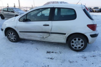 Custode arriere droit PEUGEOT 307