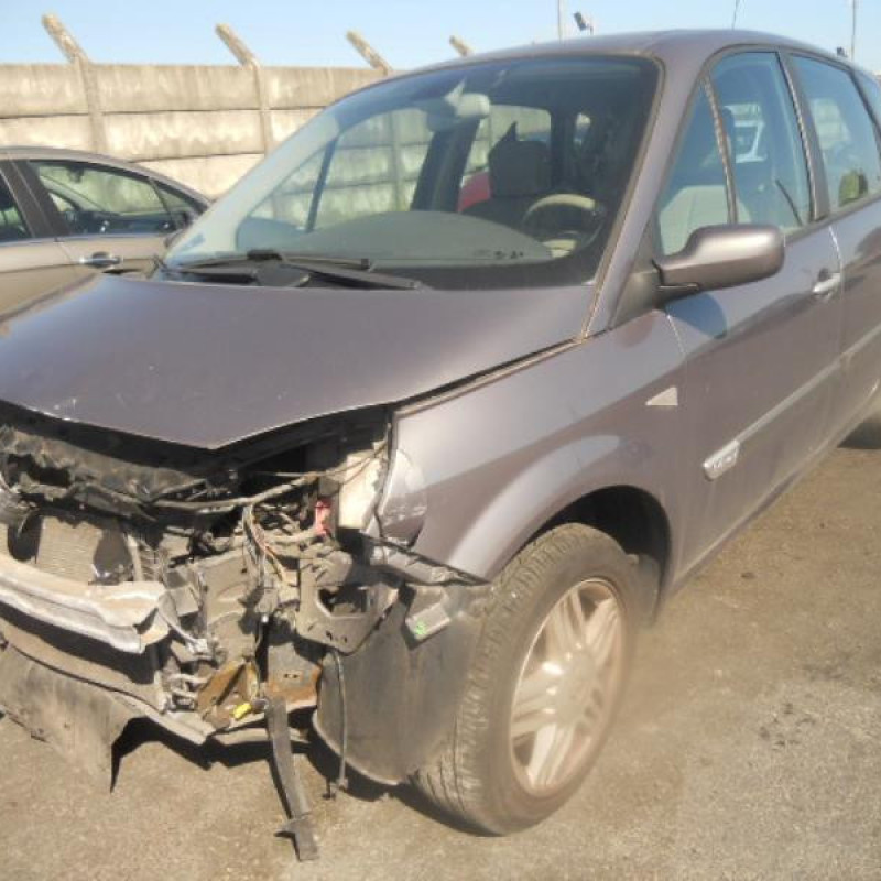 Vitre arriere gauche RENAULT SCENIC 2 Photo n°2
