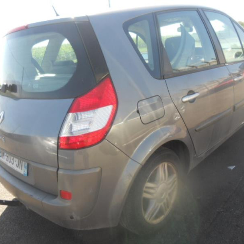 Vitre arriere gauche RENAULT SCENIC 2 Photo n°5