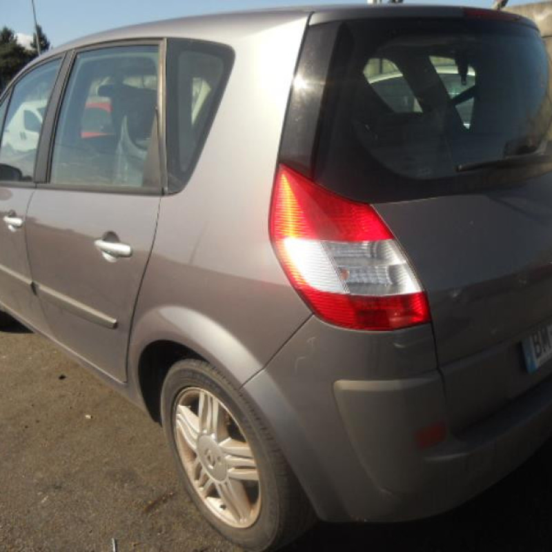 Vitre arriere gauche RENAULT SCENIC 2 Photo n°6