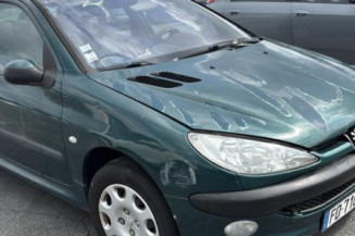 Feu arriere principal gauche (feux) PEUGEOT 206