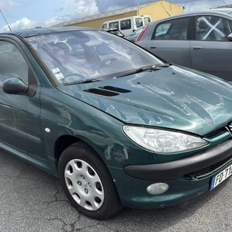 Feu arriere principal gauche (feux) PEUGEOT 206 Photo n°5