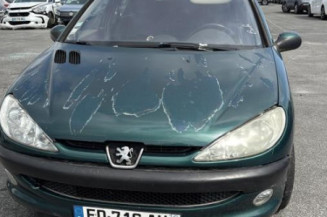 Feu arriere principal gauche (feux) PEUGEOT 206