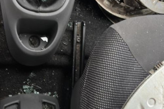 Vase de lave glace PEUGEOT 107