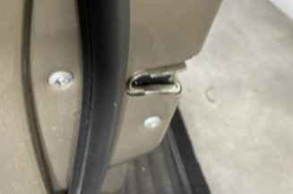 Porte avant gauche MERCEDES CLASSE B 245