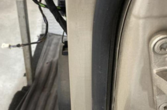 Porte avant gauche MERCEDES CLASSE B 245