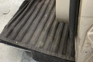 Porte avant gauche MERCEDES CLASSE B 245
