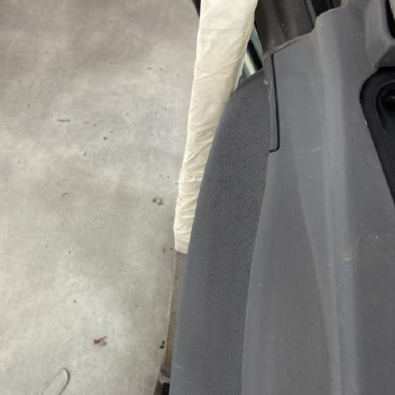 Porte arriere gauche SMART FORFOUR 1 Photo n°3