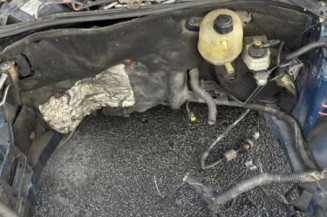 Pedale d'accelerateur RENAULT CLIO 2