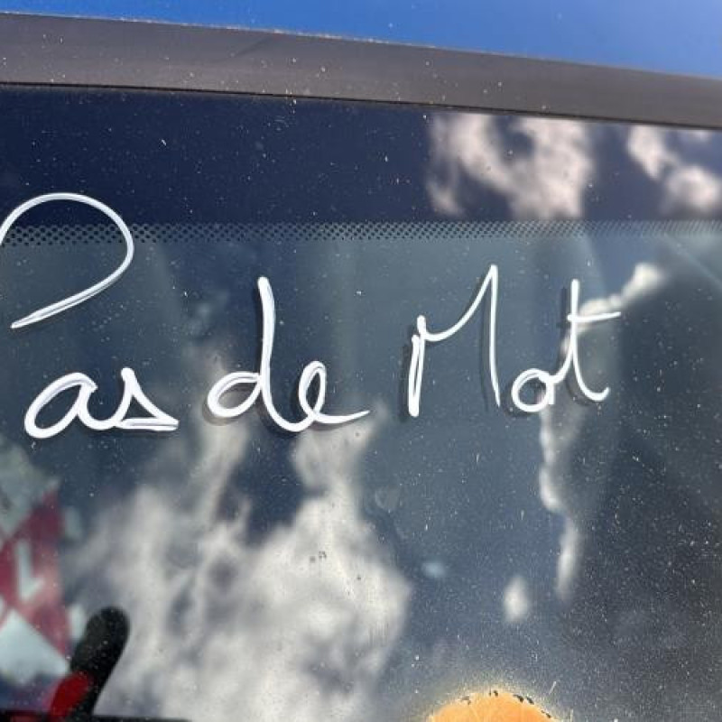 Pedale d'accelerateur RENAULT CLIO 2 Photo n°14