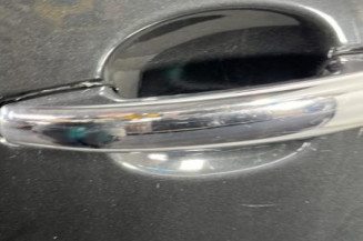 Porte arriere gauche CITROEN C3 2