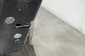 Porte arriere gauche CITROEN C3 2