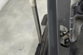 Porte arriere gauche CITROEN C3 2