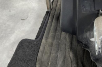 Porte arriere gauche CITROEN C3 2