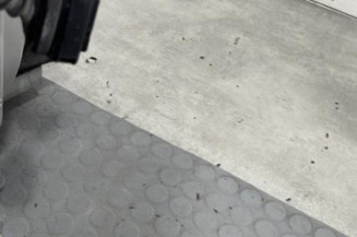 Porte avant droit RENAULT MEGANE 3