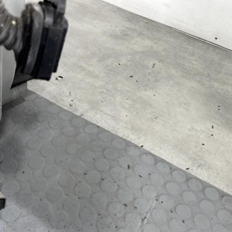 Porte avant droit RENAULT MEGANE 3 Photo n°5