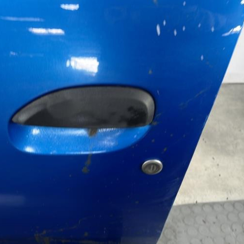Porte avant gauche DACIA SANDERO 2 Photo n°2