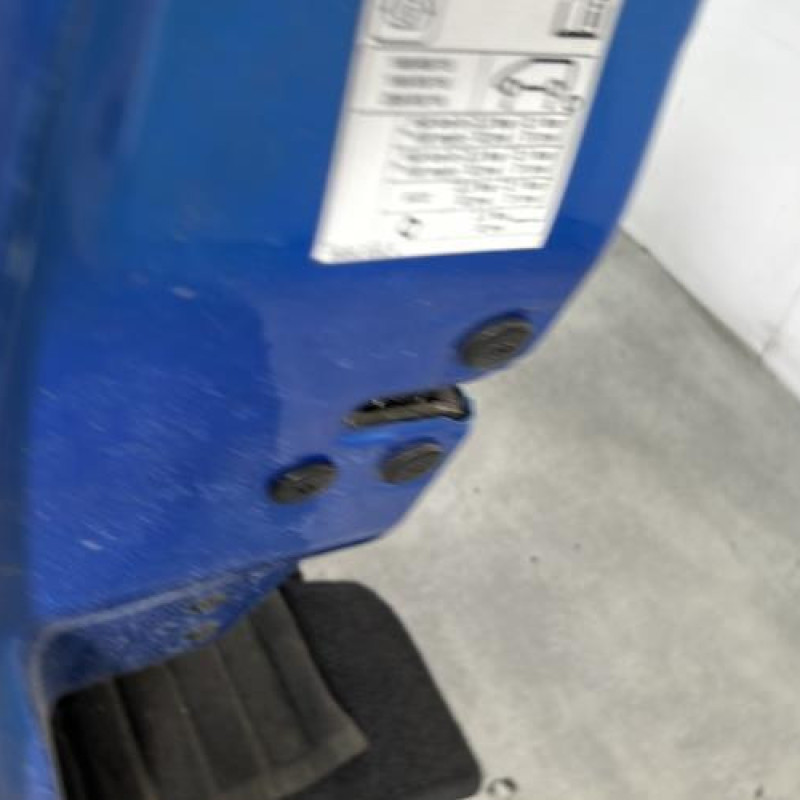 Porte avant gauche DACIA SANDERO 2 Photo n°3