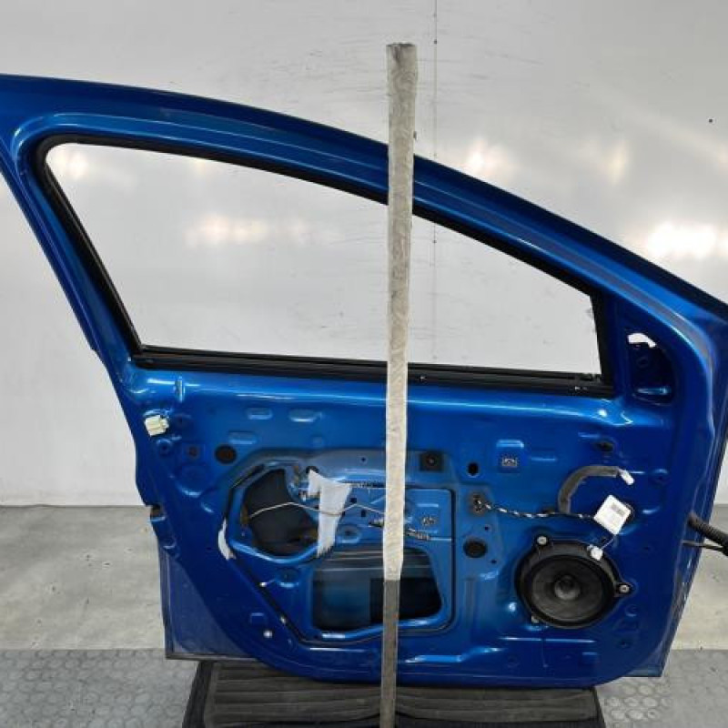 Porte avant gauche DACIA SANDERO 2 Photo n°7