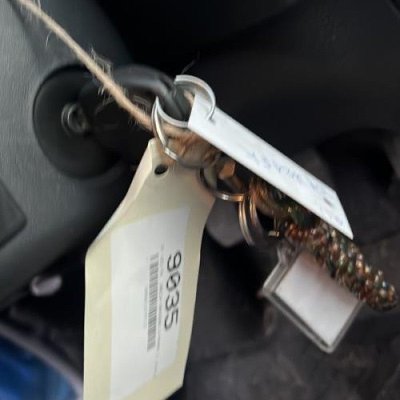 Porte avant gauche DACIA SANDERO 2 Photo n°8