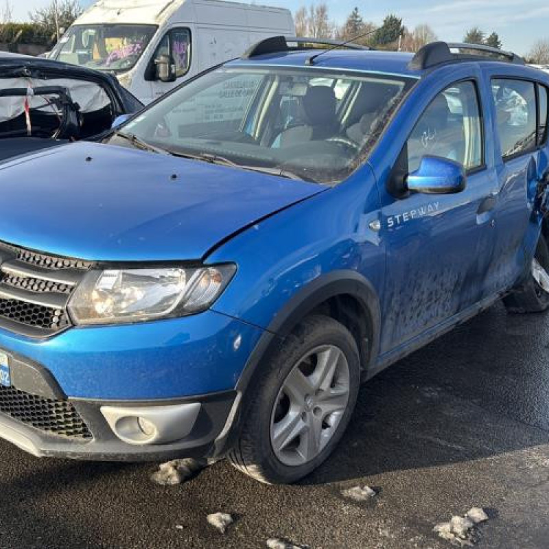 Porte avant gauche DACIA SANDERO 2 Photo n°9