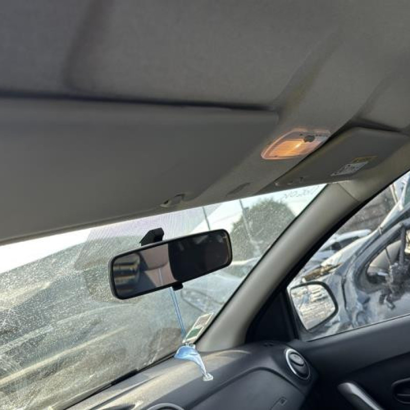 Porte avant gauche DACIA SANDERO 2 Photo n°18