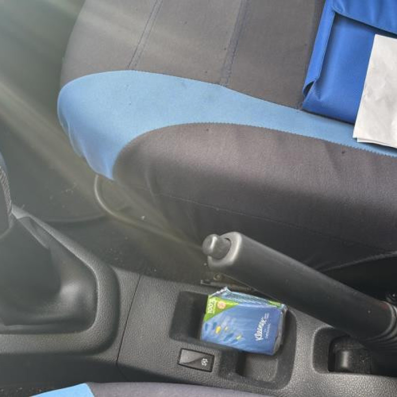 Porte avant gauche DACIA SANDERO 2 Photo n°19