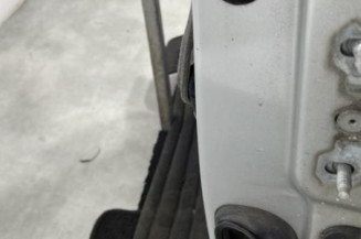 Porte avant gauche RENAULT MEGANE 3