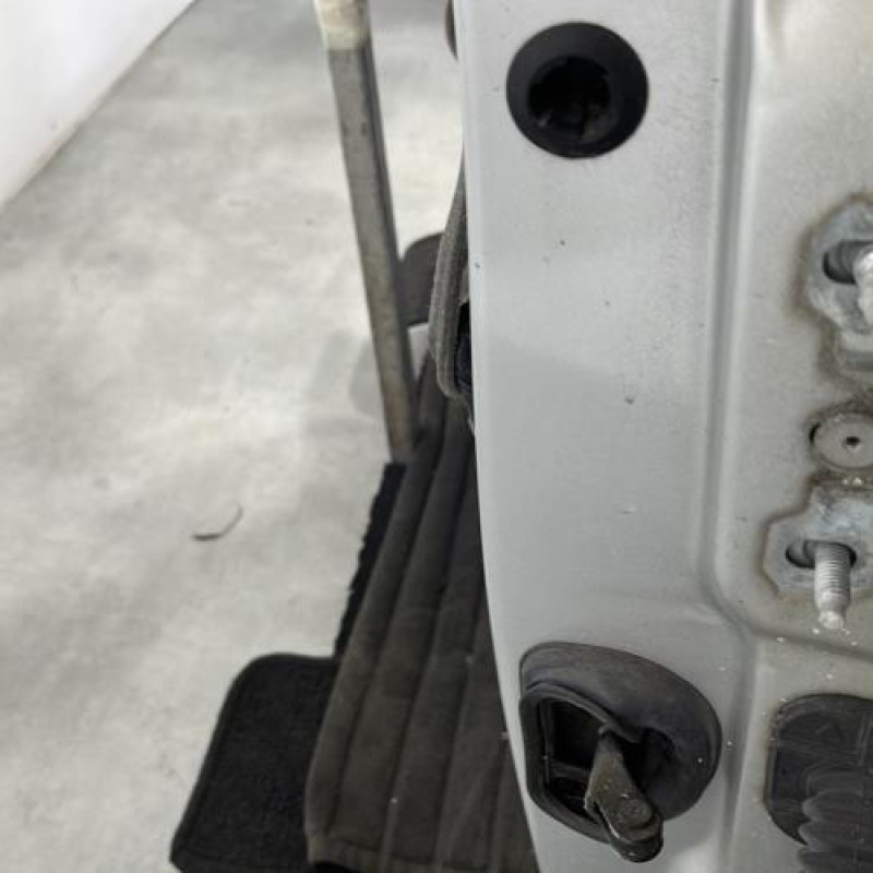 Porte avant gauche RENAULT MEGANE 3 Photo n°2