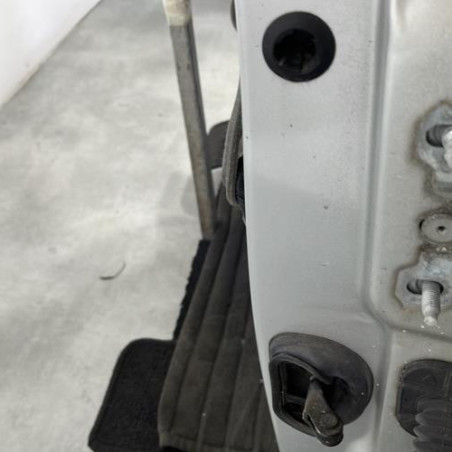 Porte avant gauche RENAULT MEGANE 3