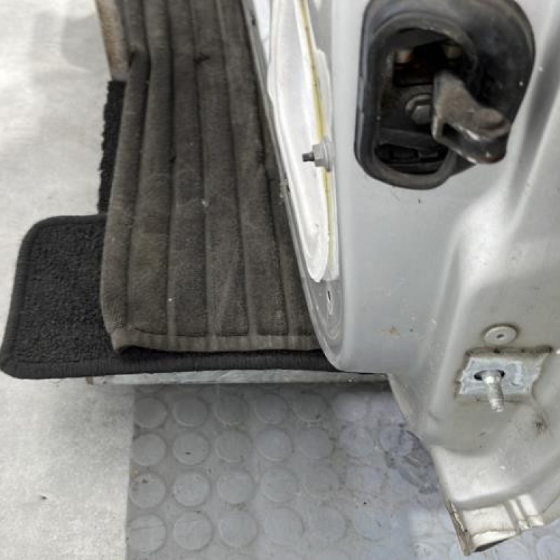 Porte avant gauche RENAULT MEGANE 3 Photo n°3