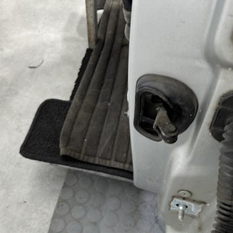 Porte avant gauche RENAULT MEGANE 3 Photo n°4