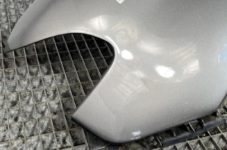 Aile avant droit BMW X5 E53
