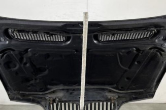 Capot BMW X5 E53