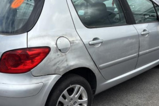 Aile avant gauche PEUGEOT 307