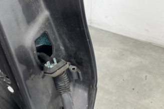 Porte arriere gauche BMW X5 E53
