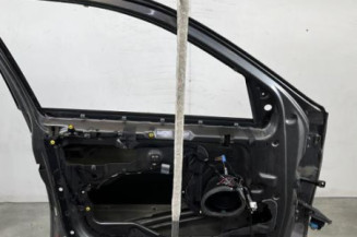 Porte avant gauche BMW X5 E53