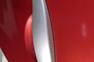 Porte arriere gauche DACIA SANDERO 1