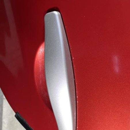 Porte arriere gauche DACIA SANDERO 1