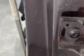 Porte arriere gauche CITROEN C4 2