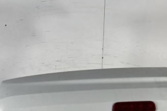 Porte de coffre gauche CITROEN NEMO