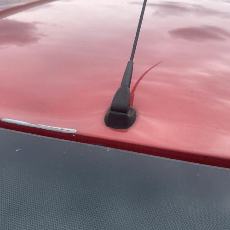 Porte avant gauche DACIA SANDERO 1 Photo n°14
