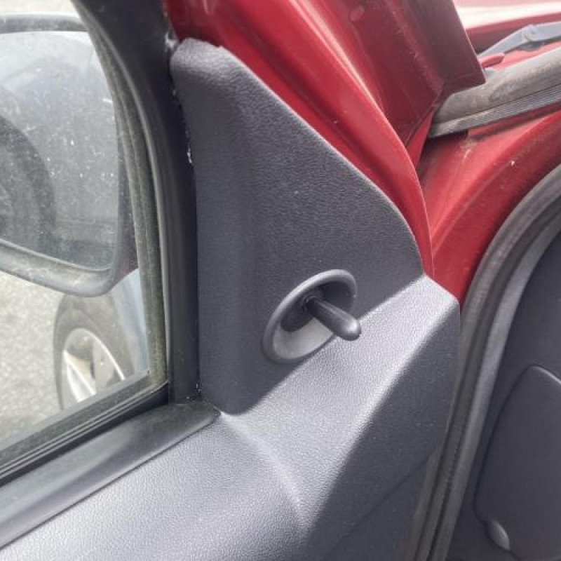 Porte avant gauche DACIA SANDERO 1 Photo n°16