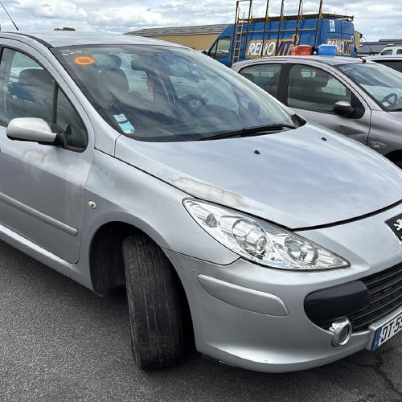 Porte avant gauche PEUGEOT 307 Photo n°8